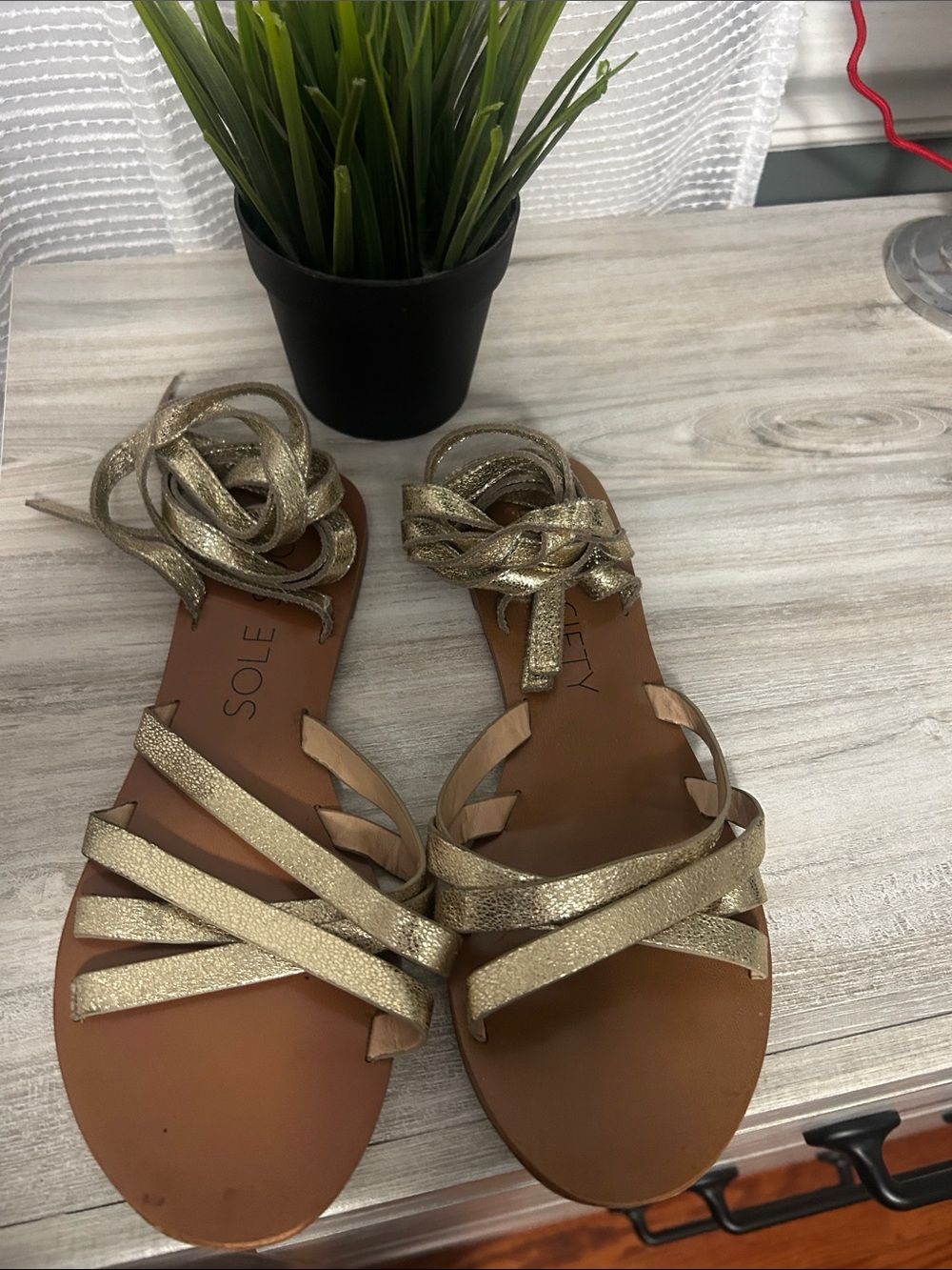 Sole Society Gold Metallic Lace-Up Flat Sandals